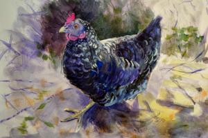 The Sunday Art Show - how to paint a hen
